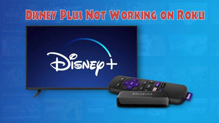 Fix Disney Plus Not Working on Roku Device
